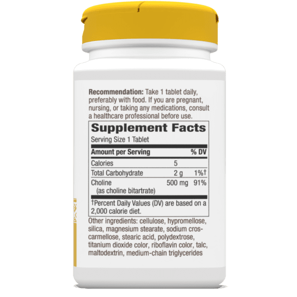 Nature's Way, Choline, 500 mg, 100 Vegan Tablets - Image 2
