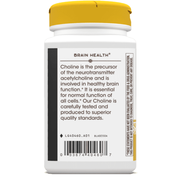 Nature's Way, Choline, 500 mg, 100 Vegan Tablets - Image 3