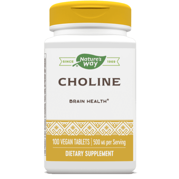Nature's Way, Choline, 500 mg, 100 Vegan Tablets